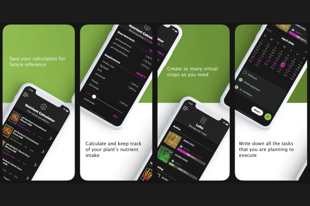 Budlabs Project - Vallixo Portfolio